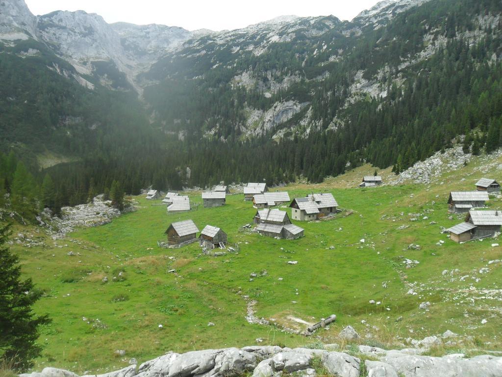 Farmhouse Pri Miklavu Bohinj Buitenkant foto