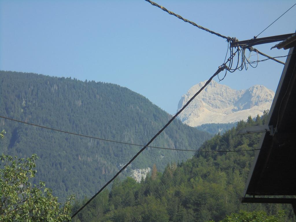 Farmhouse Pri Miklavu Bohinj Buitenkant foto