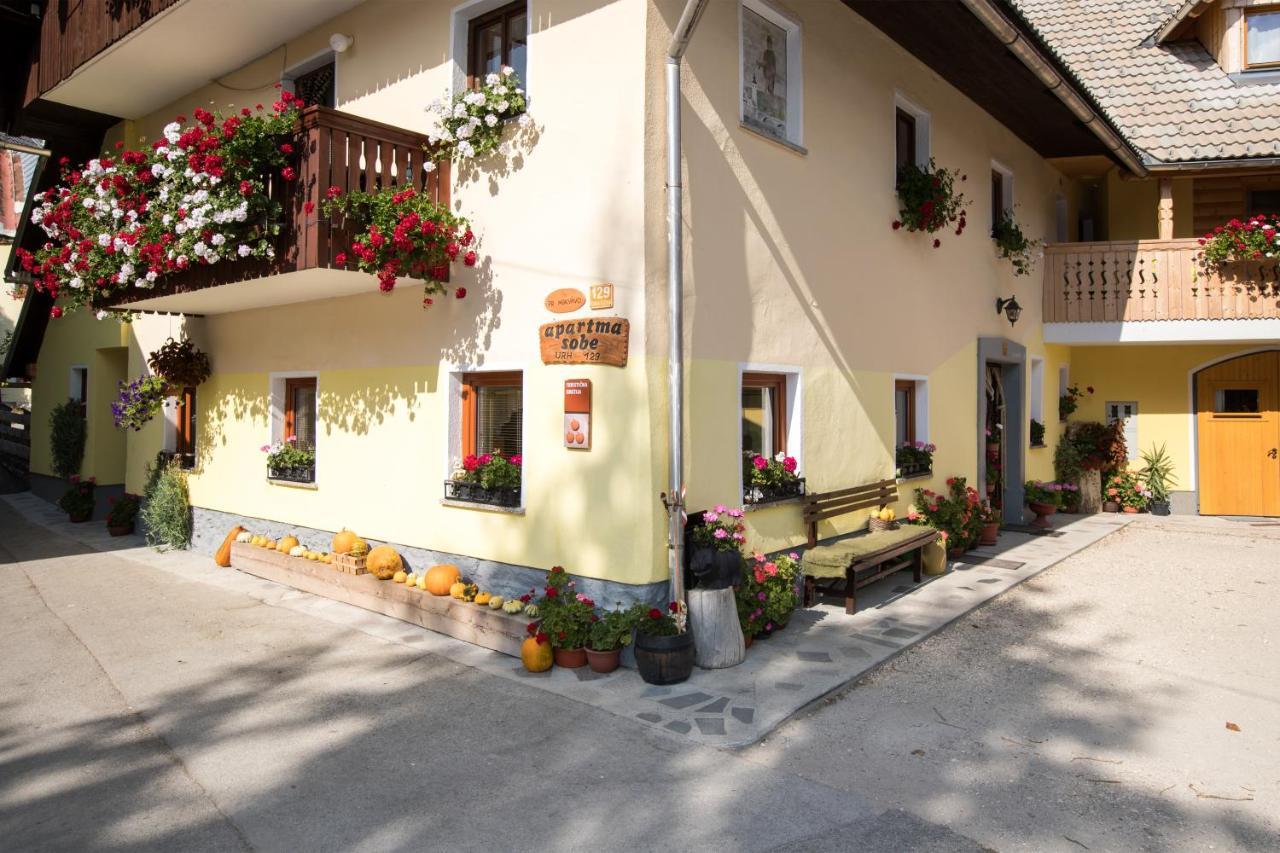 Farmhouse Pri Miklavu Bohinj Buitenkant foto