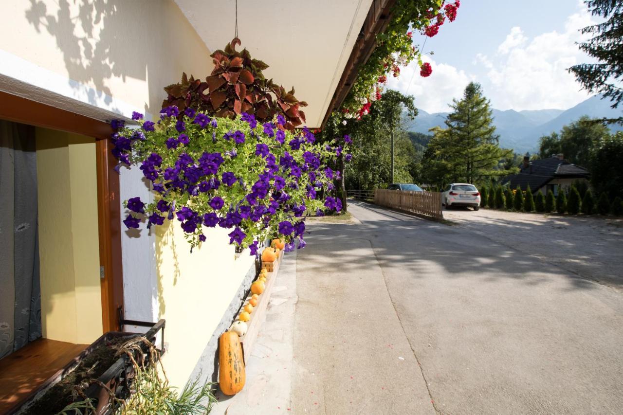 Farmhouse Pri Miklavu Bohinj Buitenkant foto
