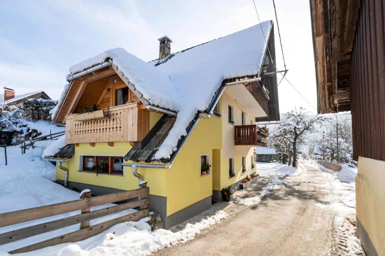 Farmhouse Pri Miklavu Bohinj Buitenkant foto
